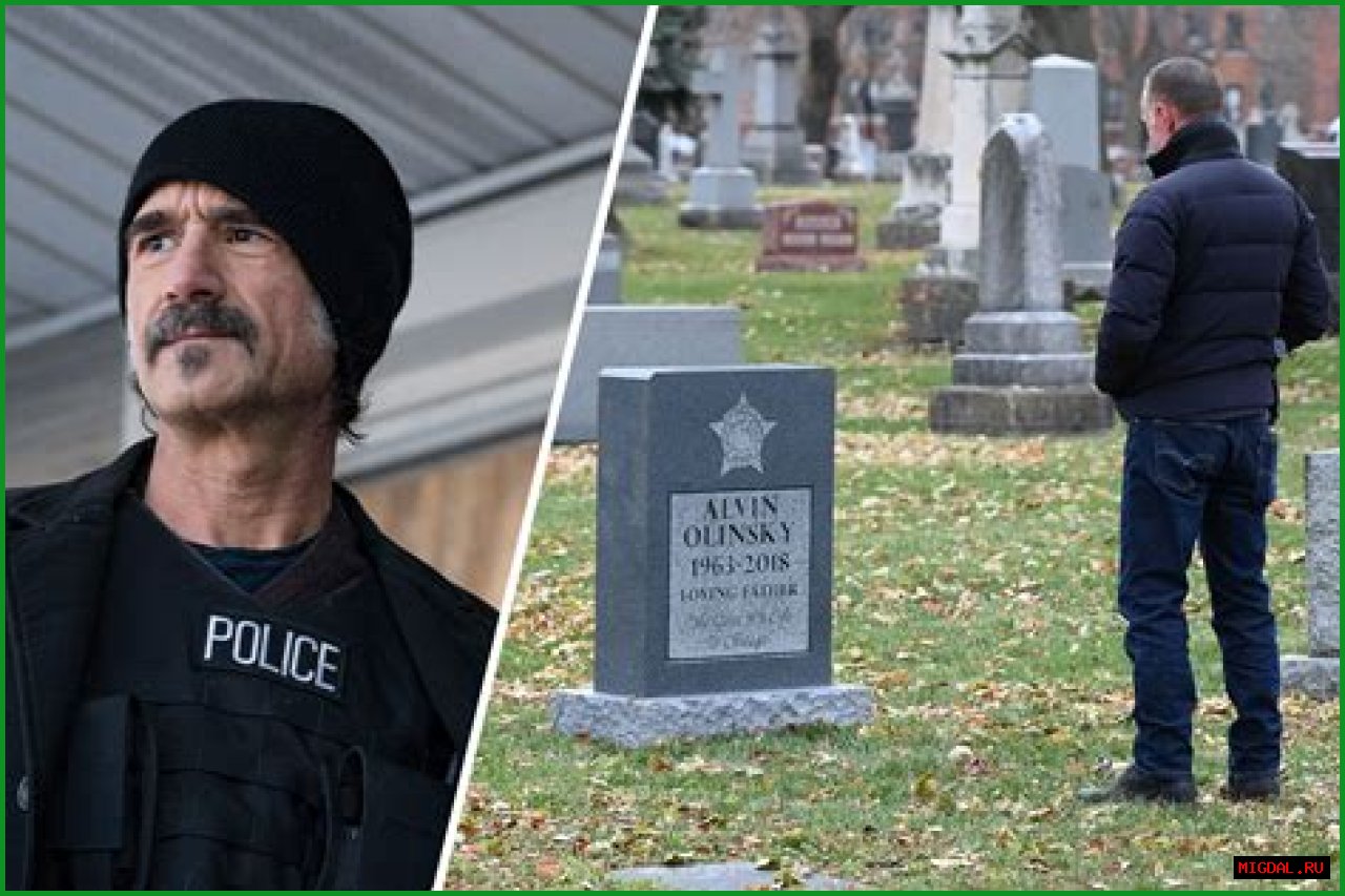 Chicago P.D. Cast Member Dies In Real Life: A Tribute To Their Legacy