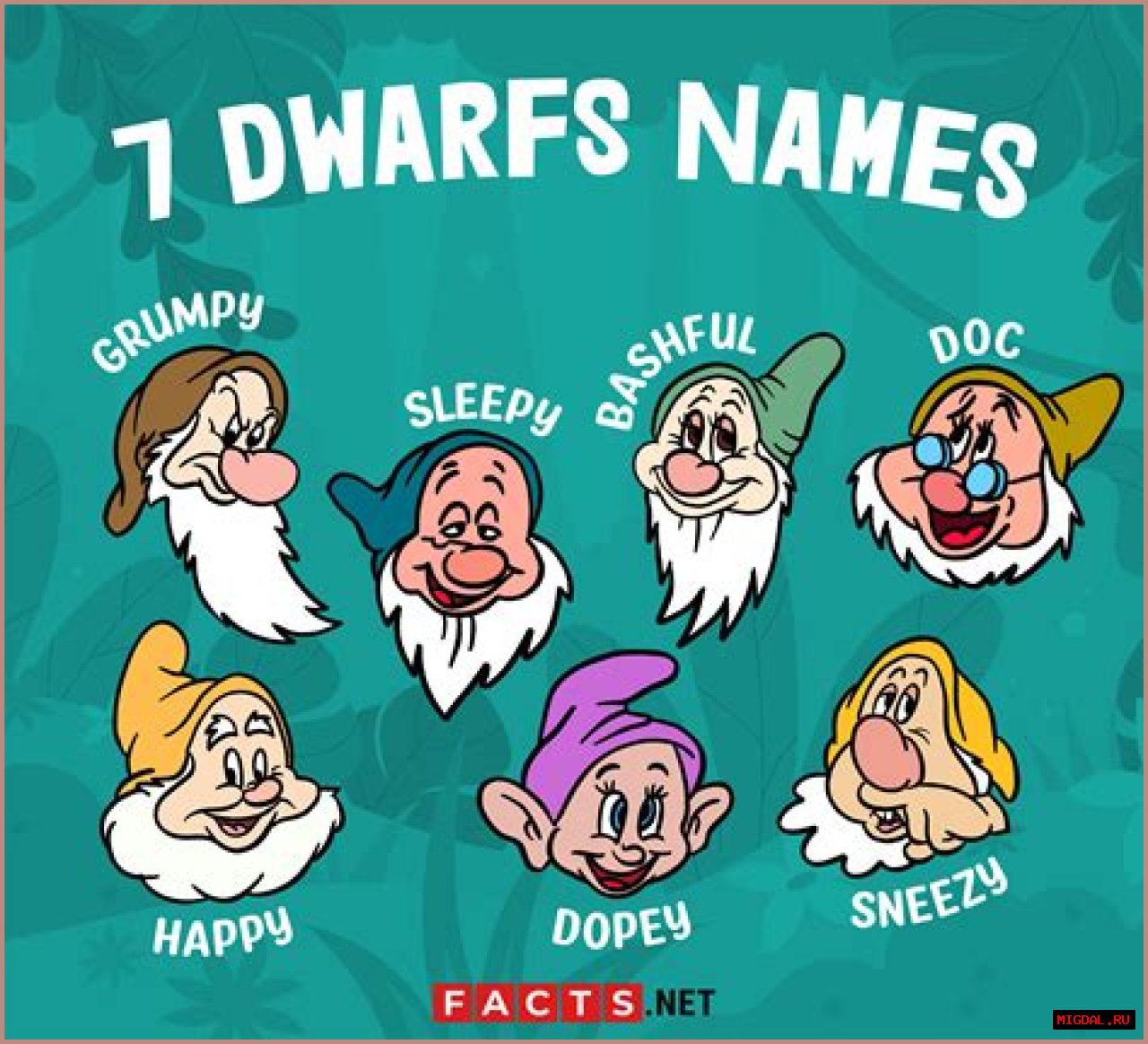 Discovering The Enchantment Of The Seven Dwarfs: Names And Stories