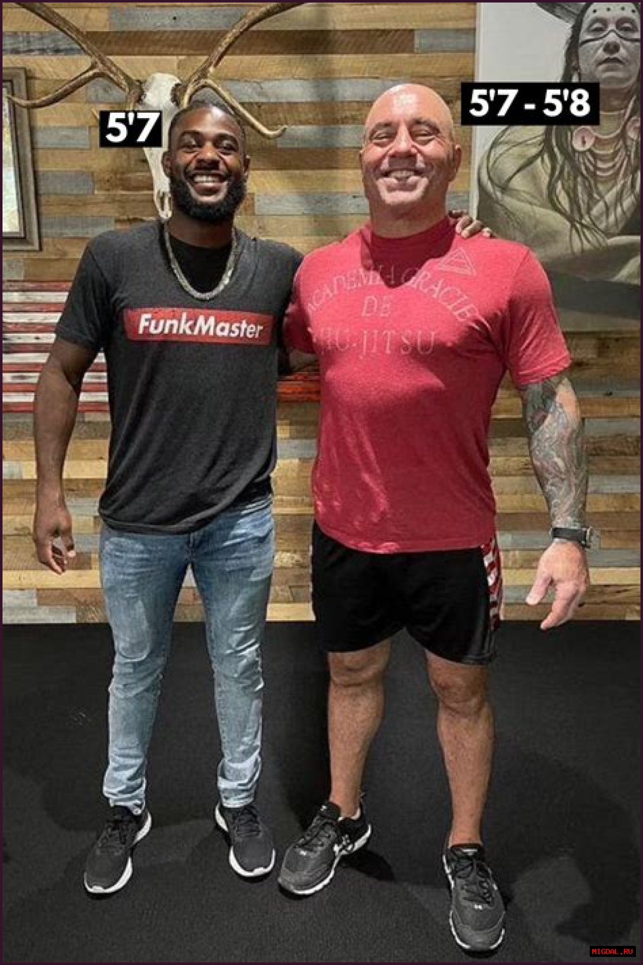 Joe Rogan Height: Everything You Need To Know