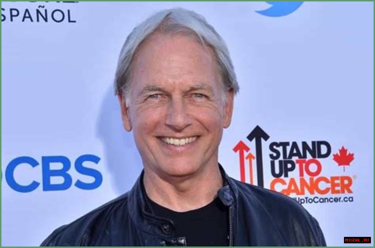 Mark Harmon Health: Insights Into The Life And Wellness Of A Hollywood Icon