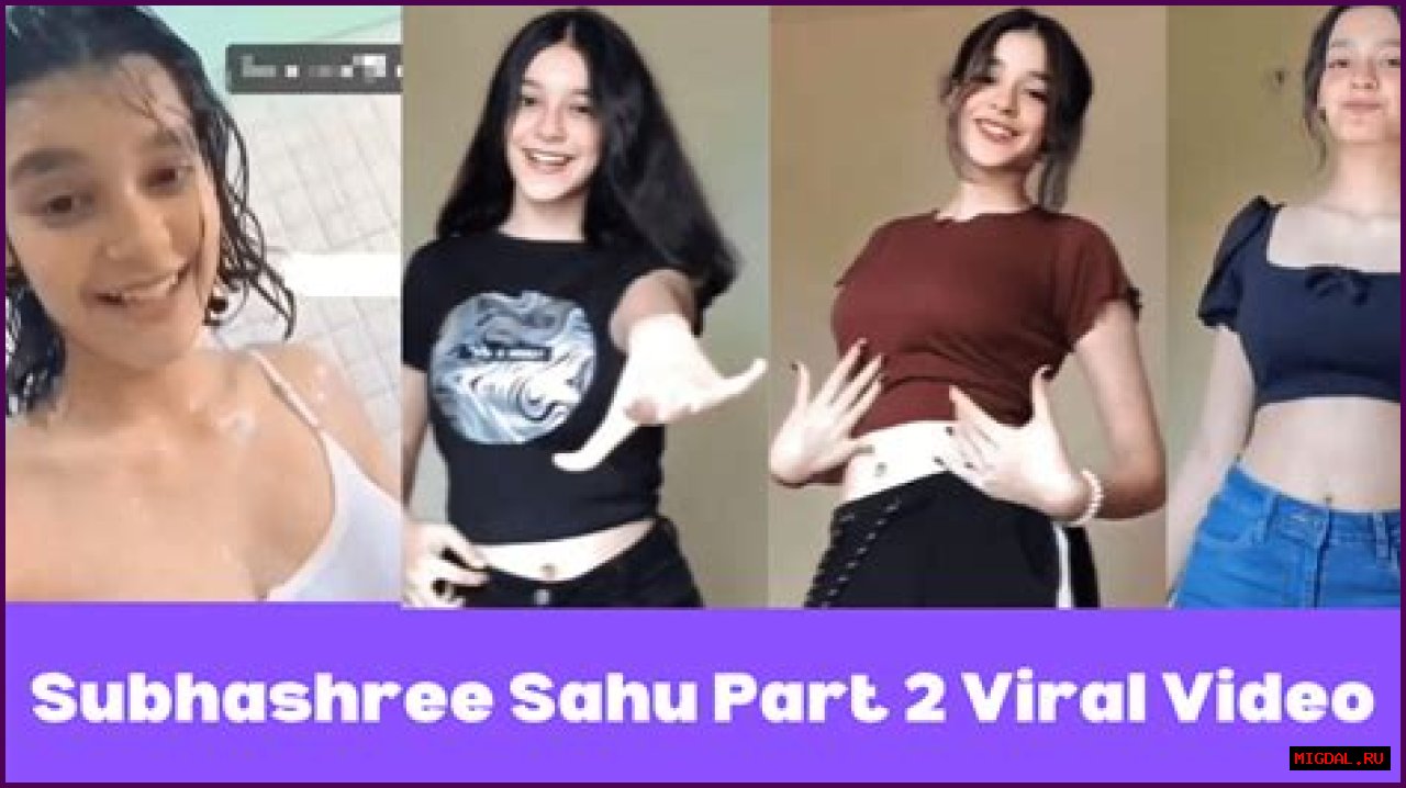 Subhashree MMS Video: The Truth Behind The Controversy