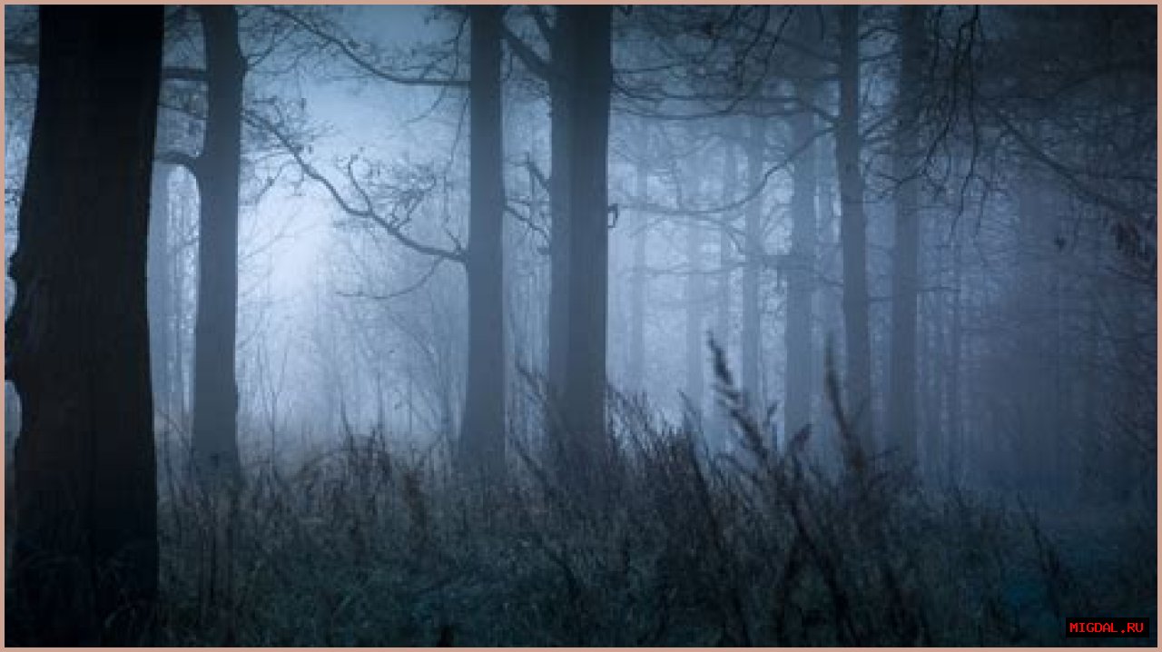 The Bizarre Legend Of The New England Cryptid, The Egopantis