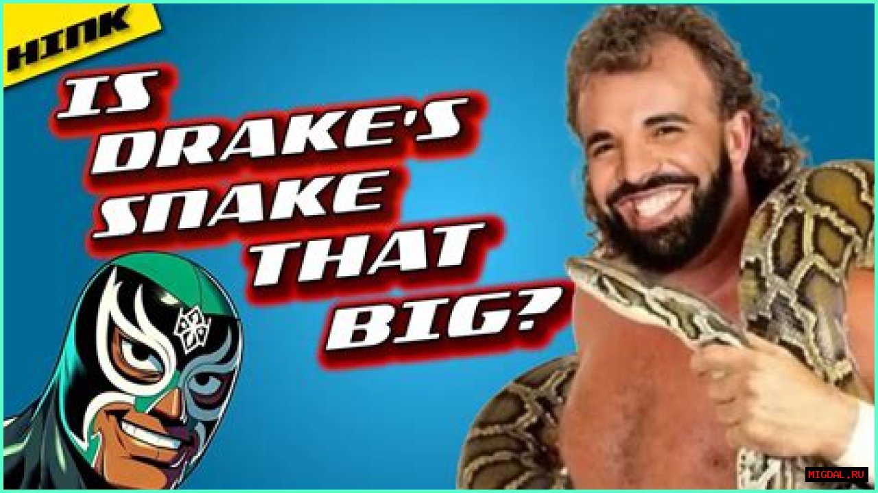 Understanding Drakescans: A Comprehensive Guide
