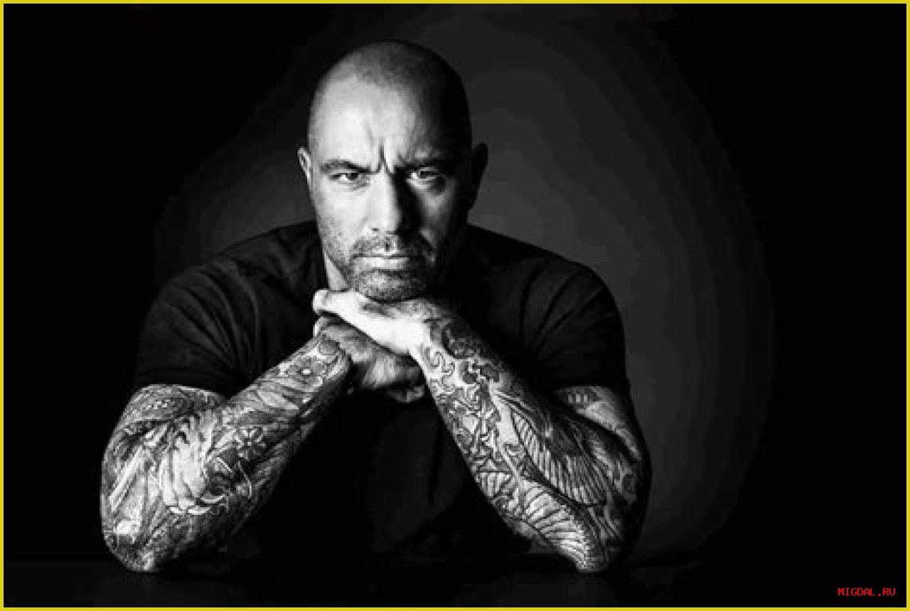 Understanding Joe Rogan's Net Worth: A Comprehensive Analysis